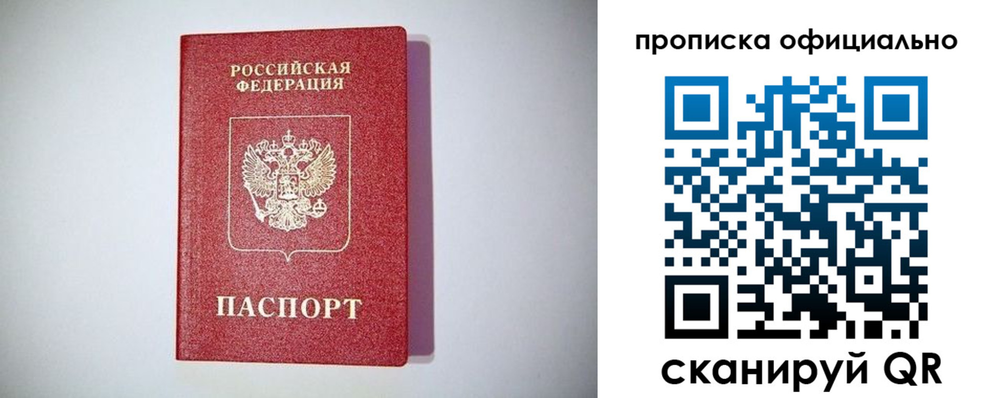 прописка в Ленинградской области
